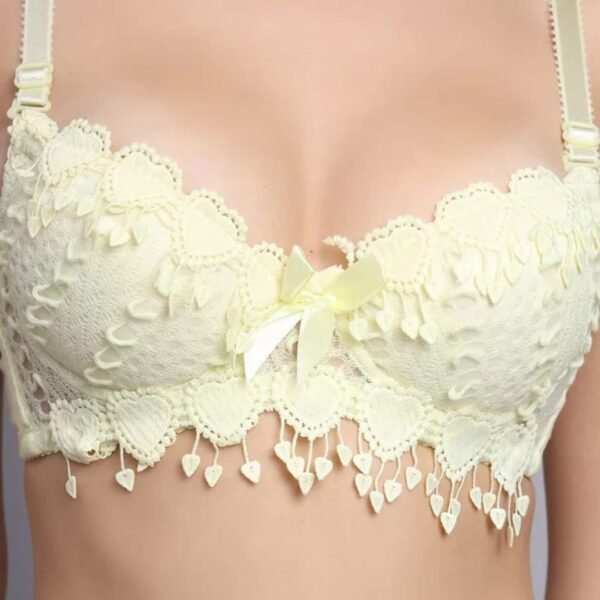 Pushup Floral Lace Bra Panty Set - Image 4