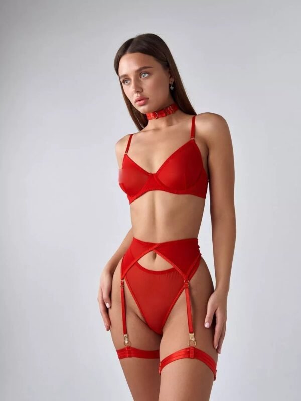 Lingerie Set with Choker & Garters - Image 5