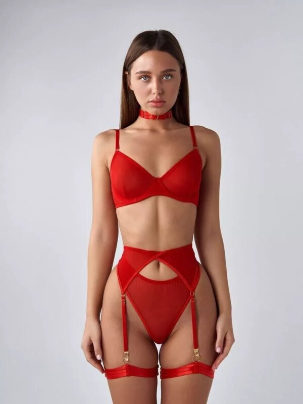 Lingerie Set with Choker & Garters